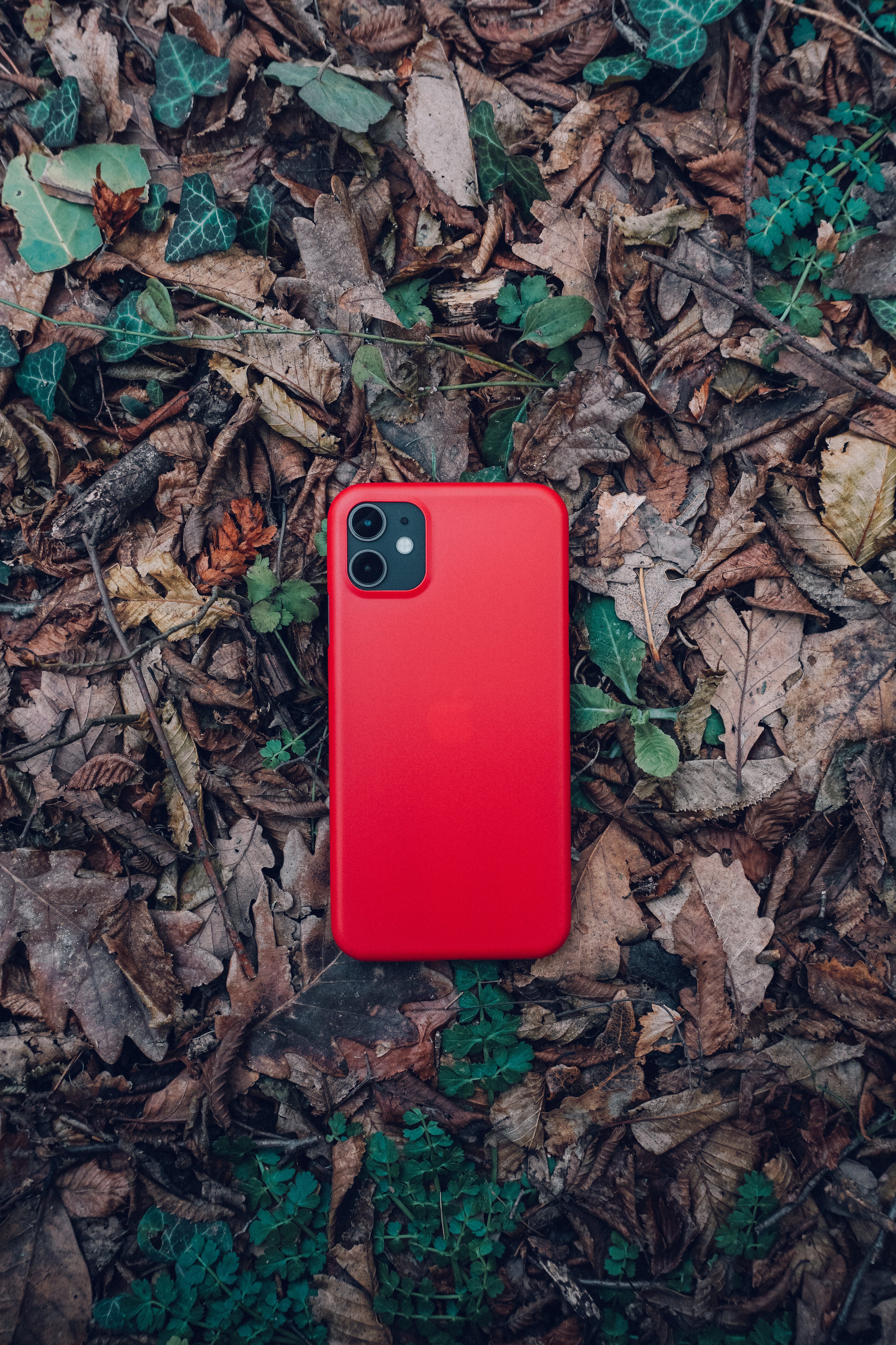 Phone case